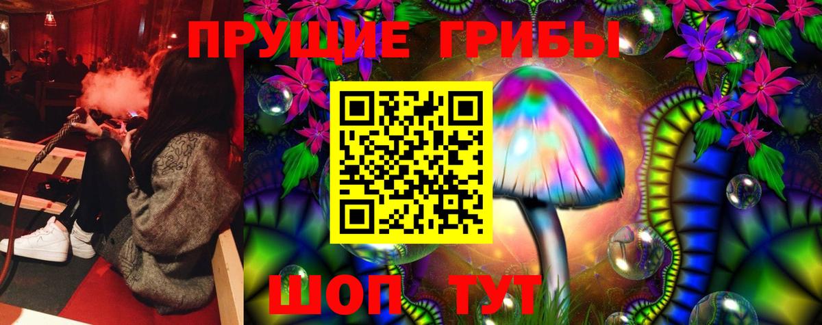 Псилоцибиновые грибы GOLDEN TEACHER Шелехов