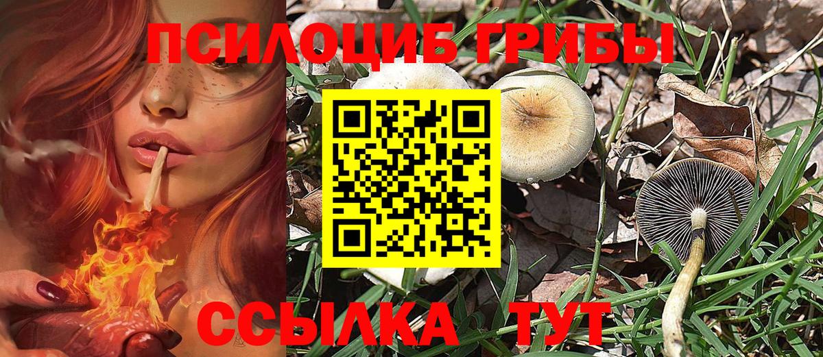 Шелехов  Галлюциногенные грибы Psilocybine cubensis  Вход с VPN 